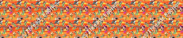 Minnie Mickey Cowboys Orange