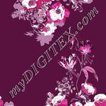 Colour:C