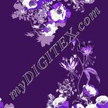 Colour:D