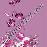 Colour:C
