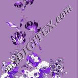 Colour:D