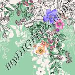 Colour:A