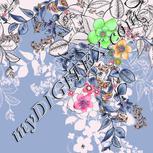 Colour:B