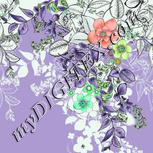 Colour:C