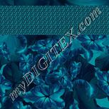 Colour:F