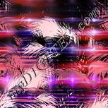 Colour:F