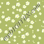 Colour:K