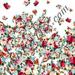 Colour:A