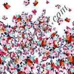 Colour:B