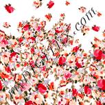 Colour:J
