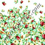 Colour:K