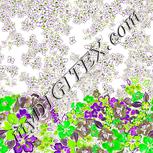 Colour:D