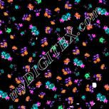 Colour:F