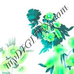 Colour:C