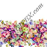 Colour:B