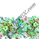 Colour:D