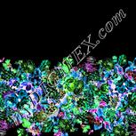 Colour:F