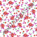 Colour:B