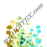 Colour:K