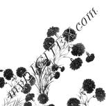 Colour:E