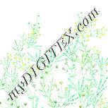 Colour:K