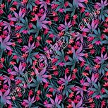 Colour:B