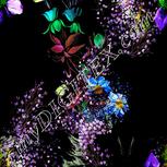 Colour:D