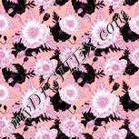 Colour:B