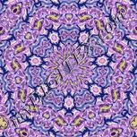 Colour:F