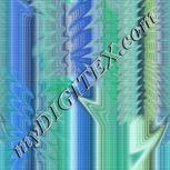Colour:F