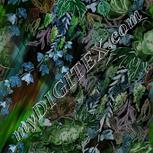 Colour:F