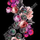 Colour:B