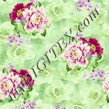 Colour:K