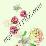 Colour:K