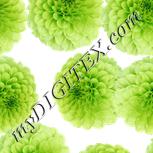 Colour:C