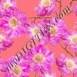 Colour:J