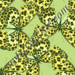 Colour:K