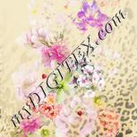 Colour:A