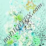 Colour:C