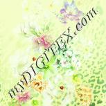 Colour:K