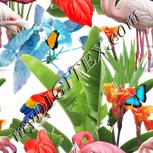 Colour:A
