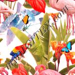 Colour:J