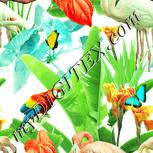 Colour:K
