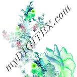 Colour:C