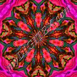Colour:B