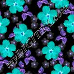 Colour:F