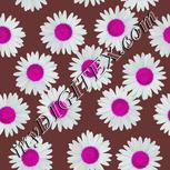 Colour:B