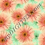 Colour:K