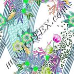 Colour:C