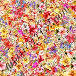 Colour:A